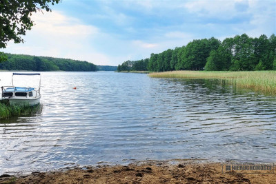Działka położona blisko jeziora Dołgie - Dołgie  -
Zachodniopomorskie Zdjęcie nr 8