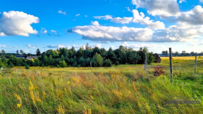 Działka z ładnym widokiem tuż przy Szczecinku - Tarnina  -
Zachodniopomorskie Zdjęcie nr 5