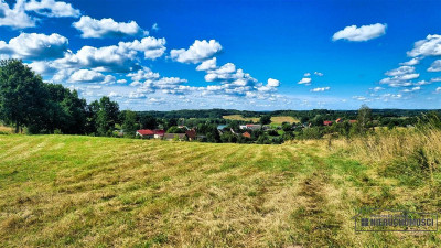 Widokowa działka 213 ha  3 jeziora  WZ - Sikory  -
Zachodniopomorskie Zdjęcie nr 13