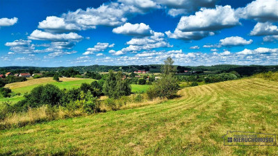 Widokowa działka 213 ha  3 jeziora  WZ - Sikory  -
Zachodniopomorskie Zdjęcie nr 14