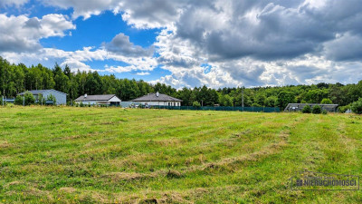 Działki budowlane blisko lasu i rzeki Parsęty - Radomyśl  -
Zachodniopomorskie Zdjęcie nr 11