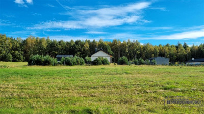 Działki budowlane blisko lasu i rzeki Parsęty - Radomyśl  -
Zachodniopomorskie Zdjęcie nr 13