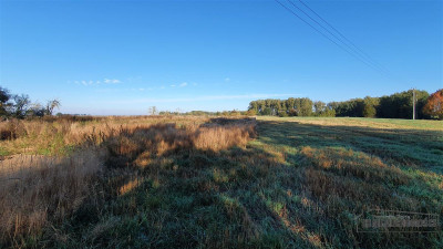 70 km od Szczecina działka budow - 2 km od Jezior - Tucze  -
Zachodniopomorskie Zdjęcie nr 10