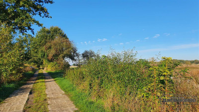 70 km od Szczecina działka budow - 2 km od Jezior - Tucze  -
Zachodniopomorskie Zdjęcie nr 13