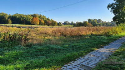 70 km od Szczecina działka budow - 2 km od Jezior - Tucze  -
Zachodniopomorskie Zdjęcie nr 7