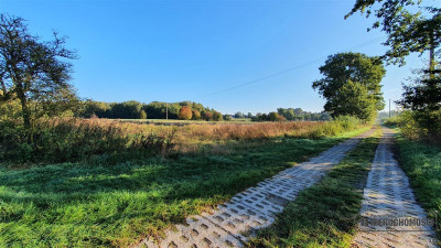 70 km od Szczecina działka budow - 2 km od Jezior - Tucze  -
Zachodniopomorskie Zdjęcie nr 8