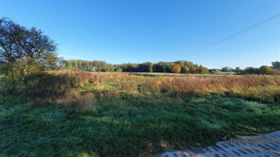 70 km od Szczecina działka budow - 2 km od Jezior - Tucze  -
Zachodniopomorskie Zdjęcie nr 9