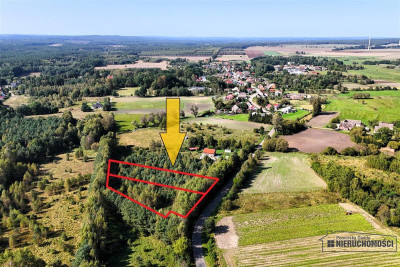 Duże działki w Krosinie ok 60 km od morza - Krosino   -
Zachodniopomorskie Zdjęcie nr 2