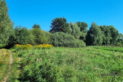 Działka siedliskowa ze stawem pod miastem - Marcelin   -
Zachodniopomorskie Zdjęcie nr 13
