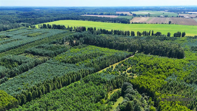 Działka budowlana blisko Świdwina - na raty - Ząbrowo   -
Zachodniopomorskie Zdjęcie nr 14
