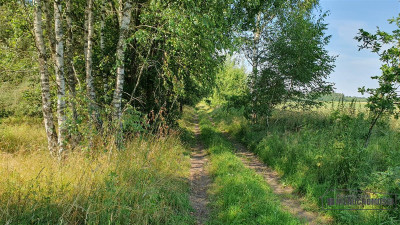 Duża działka siedliskowa nad Jeziorem Kiełpino - Kiełpino   -
Zachodniopomorskie Zdjęcie nr 12