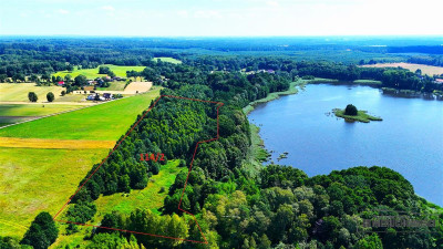 Duża działka siedliskowa nad Jeziorem Kiełpino - Kiełpino   -
Zachodniopomorskie Zdjęcie nr 8