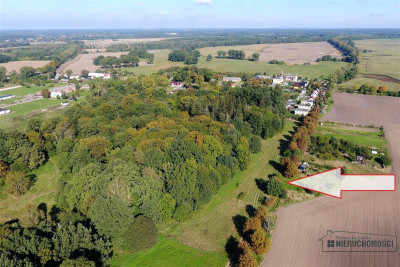 NA RATY działki budowlane POD LASEM blisko Chociwl - Starzyce   -
Zachodniopomorskie Zdjęcie nr 7