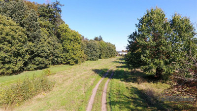 NA RATY działki budowlane POD LASEM blisko Chociwl - Starzyce   -
Zachodniopomorskie Zdjęcie nr 9