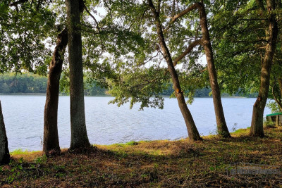 Dostęp do jeziora Dołgie ok190 m linii brzegowej - Dołgie   -
Zachodniopomorskie Zdjęcie nr 11