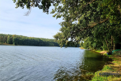 Dostęp do jeziora Dołgie ok190 m linii brzegowej - Dołgie   -
Zachodniopomorskie Zdjęcie nr 13