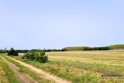 Działki rekreacyjne w pobliżu jeziora Dołgie - Dołgie   -
Zachodniopomorskie Zdjęcie nr 13