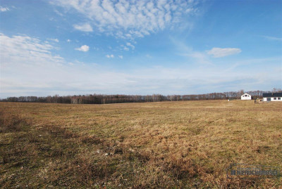 Działka budowlana w Wierzchowie blisko jeziora - Wierzchowo   -
Zachodniopomorskie Zdjęcie nr 4