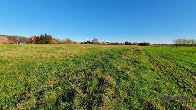 działka blisko Ustki i Słupska - Wilkowice   -
Zachodniopomorskie Zdjęcie nr 10