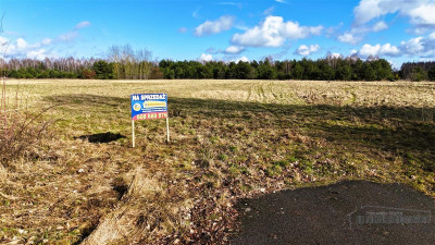 Działka budowlana w pobliżu jeziora Pile - Piława   -
Zachodniopomorskie Zdjęcie nr 11