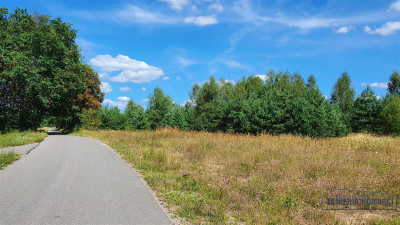 Działka budowlana w pobliżu jeziora Pile - Piława   -
Zachodniopomorskie Zdjęcie nr 12