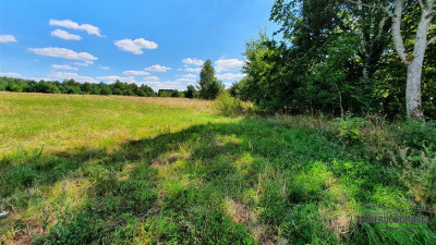 Działka budowlana w pobliżu jeziora Pile - Piława   -
Zachodniopomorskie Zdjęcie nr 14