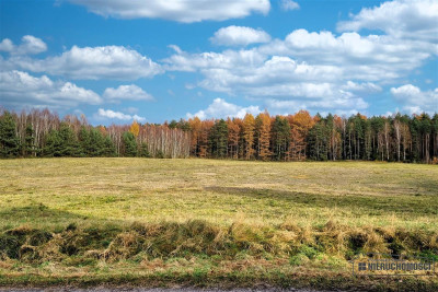 Działka na skraju wsi w pobliżu lasu - Ubiedrze  -
Zachodniopomorskie Zdjęcie nr 14