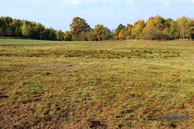 Działki na uboczu wsi sprzedaż na raty bez banku - Mieszałki   -
Zachodniopomorskie Zdjęcie nr 10
