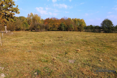 Działki na uboczu wsi sprzedaż na raty bez banku - Mieszałki   -
Zachodniopomorskie Zdjęcie nr 13