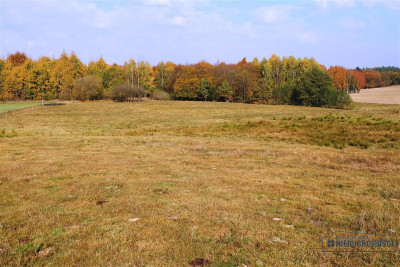 Działki na uboczu wsi sprzedaż na raty bez banku - Mieszałki   -
Zachodniopomorskie Zdjęcie nr 9