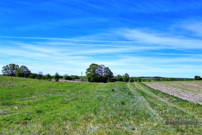 Grunt rolny z możliwością zabudowy siedliskowej - Parsęcko   -
Zachodniopomorskie Zdjęcie nr 9