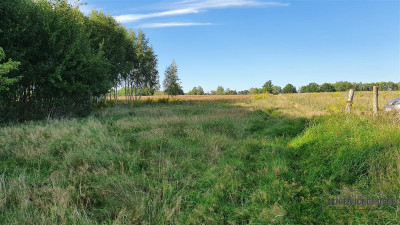 Działka budowlana w pobliżu Jeziora Pile - Piława   -
Zachodniopomorskie Zdjęcie nr 12
