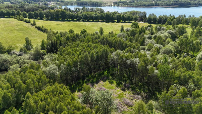 Działka budowlana w pobliżu Jeziora Pile - Piława   -
Zachodniopomorskie Zdjęcie nr 3