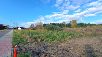 Działki budowlane przy nowo budowanej ulicy - Szczecinek Raciborki  -
Zachodniopomorskie Zdjęcie nr 5