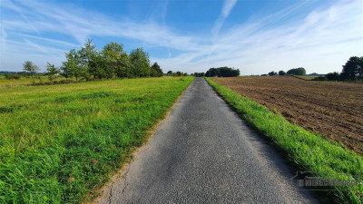 Działka NA RATY w Zagoździe gm Drawsko Pomorskie - Zagozd   -
Zachodniopomorskie Zdjęcie nr 10