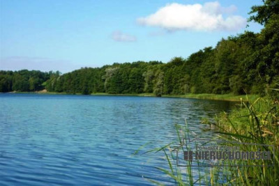 Działka NA RATY w Zagoździe gm Drawsko Pomorskie - Zagozd   -
Zachodniopomorskie Zdjęcie nr 13