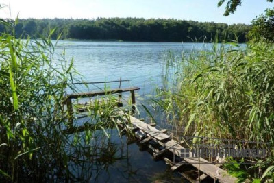 Działka NA RATY w Zagoździe gm Drawsko Pomorskie - Zagozd   -
Zachodniopomorskie Zdjęcie nr 14