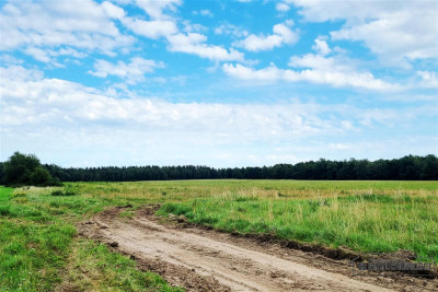 810 zł miesięcznie - kup na raty bez banku - Krytno   -
Zachodniopomorskie Zdjęcie nr 13