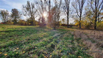 NA RATY działka budowlana 35 km od Koszalina - Głodowa   -
Zachodniopomorskie Zdjęcie nr 14
