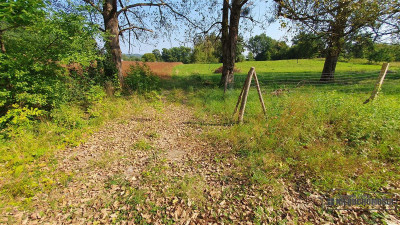 NA RATY działka budowlana 35 km od Koszalina - Głodowa   -
Zachodniopomorskie Zdjęcie nr 3