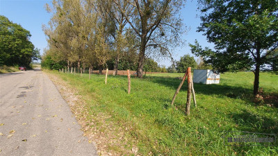 NA RATY działka budowlana 35 km od Koszalina - Głodowa   -
Zachodniopomorskie Zdjęcie nr 5