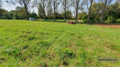 NA RATY działka budowlana 35 km od Koszalina - Głodowa   -
Zachodniopomorskie Zdjęcie nr 7