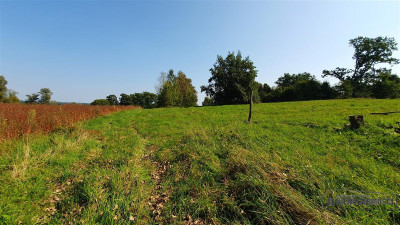 NA RATY działka budowlana 35 km od Koszalina - Głodowa   -
Zachodniopomorskie Zdjęcie nr 9