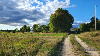 Tanie działki budowlane na raty blisko Białogardu - Dargikowo   -
Zachodniopomorskie Zdjęcie nr 4