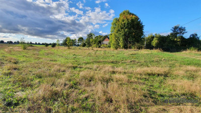 Tanie działki budowlane na raty blisko Białogardu - Dargikowo   -
Zachodniopomorskie Zdjęcie nr 6