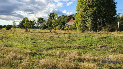 Tanie działki budowlane na raty blisko Białogardu - Dargikowo   -
Zachodniopomorskie Zdjęcie nr 7