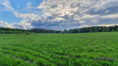 Działki rolne pod lasem na raty - Pobądz   -
Zachodniopomorskie Zdjęcie nr 12