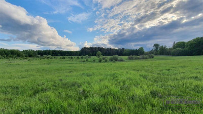 Działki rolne pod lasem na raty - Pobądz   -
Zachodniopomorskie Zdjęcie nr 13
