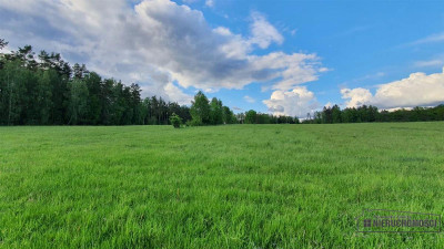Działki rolne pod lasem na raty - Pobądz   -
Zachodniopomorskie Zdjęcie nr 3