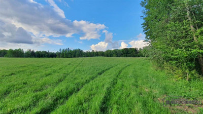 Działki rolne pod lasem na raty - Pobądz   -
Zachodniopomorskie Zdjęcie nr 4